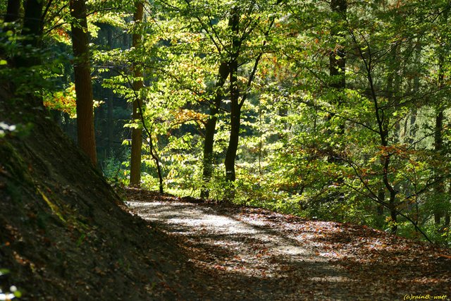 Foto: Rainer Bresslein