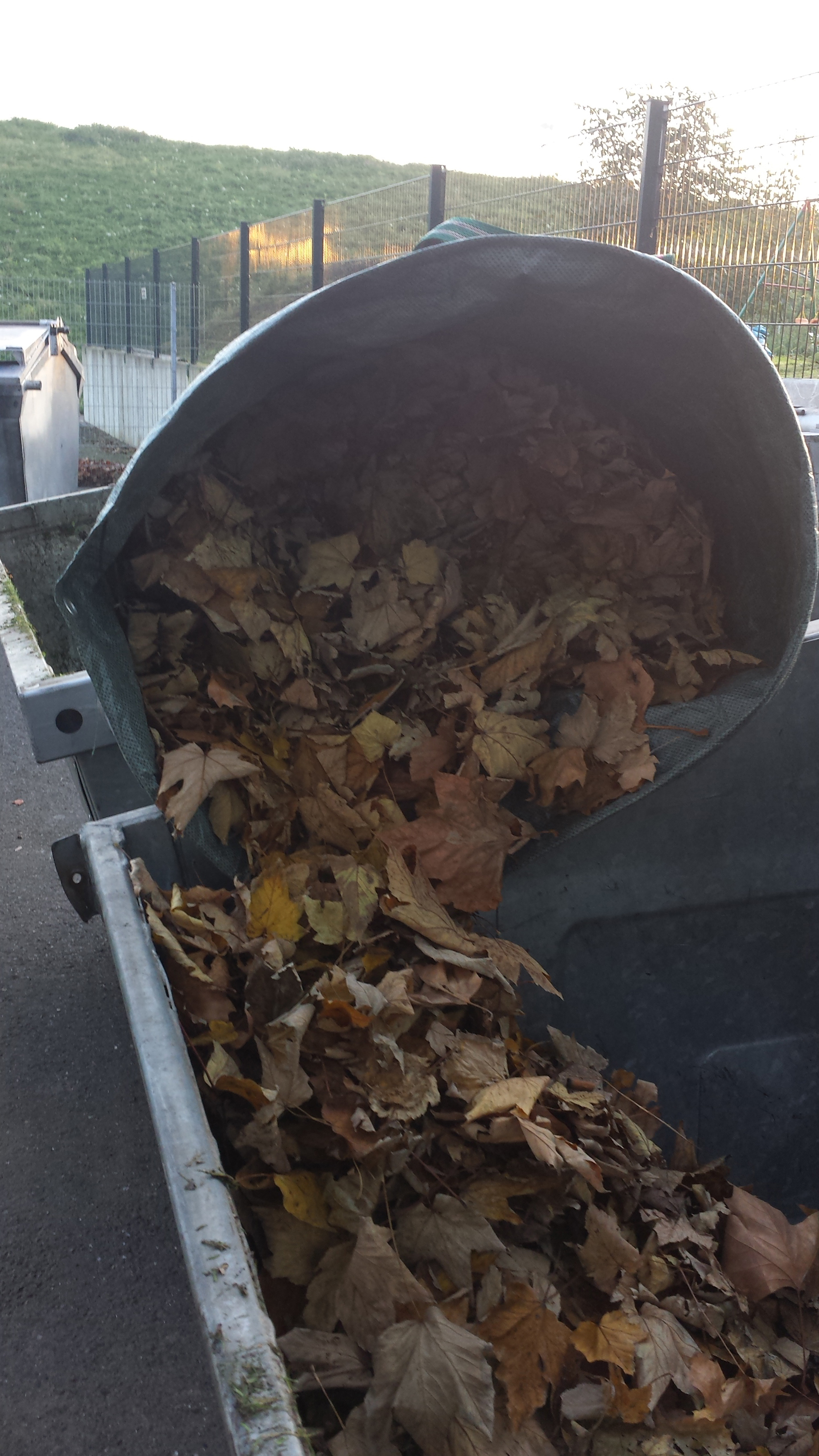 Ab 23. Oktober stehen an zehn Standorten in der Stadt wieder Laubcontainer bereit.
