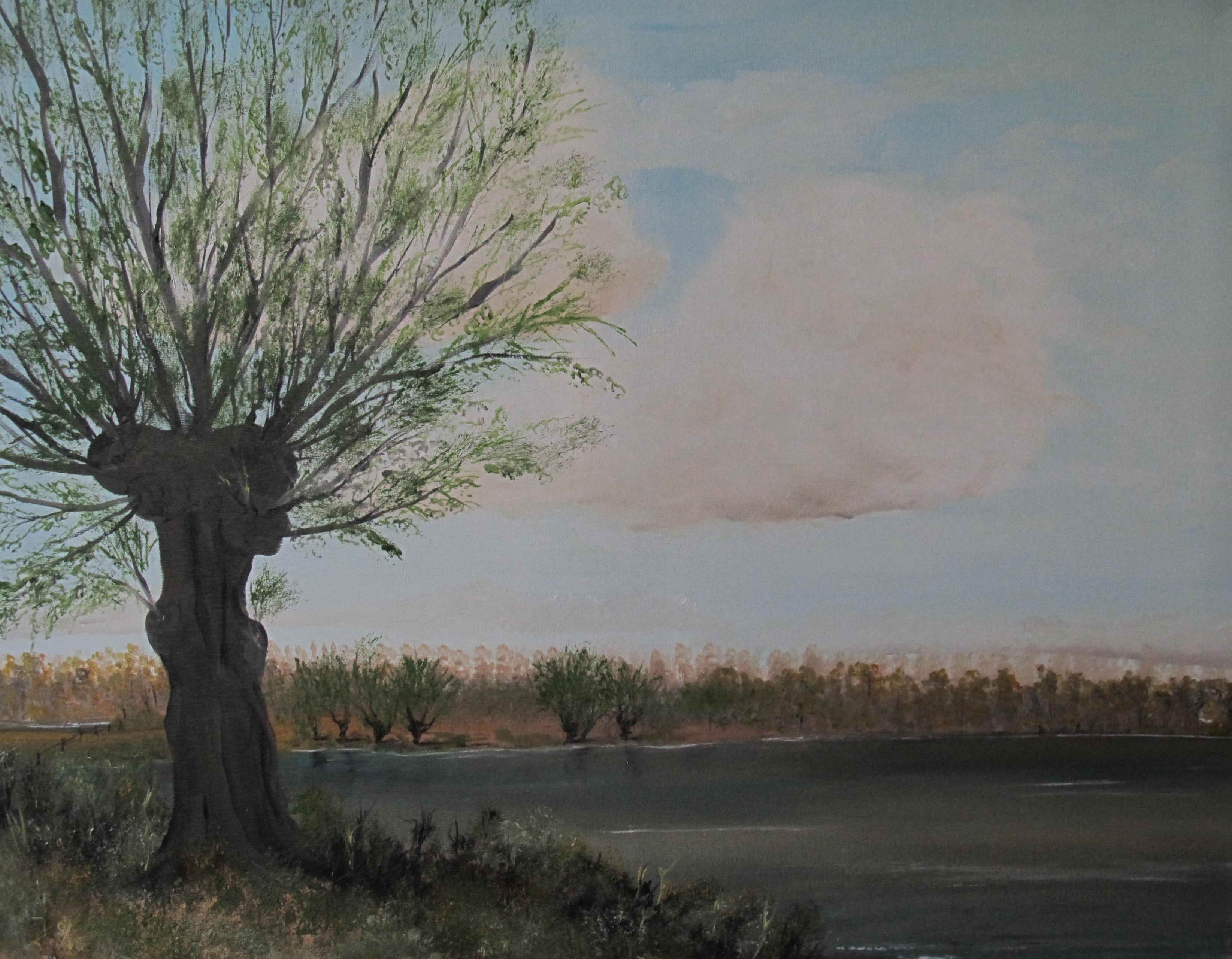Das Bild "Rheinauen" bietet einen kleinen Vorgeschmack auf die Ausstellung im Friedrichsfelder Bürgerhaus.