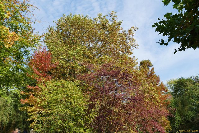 Foto: Rainer Bresslein