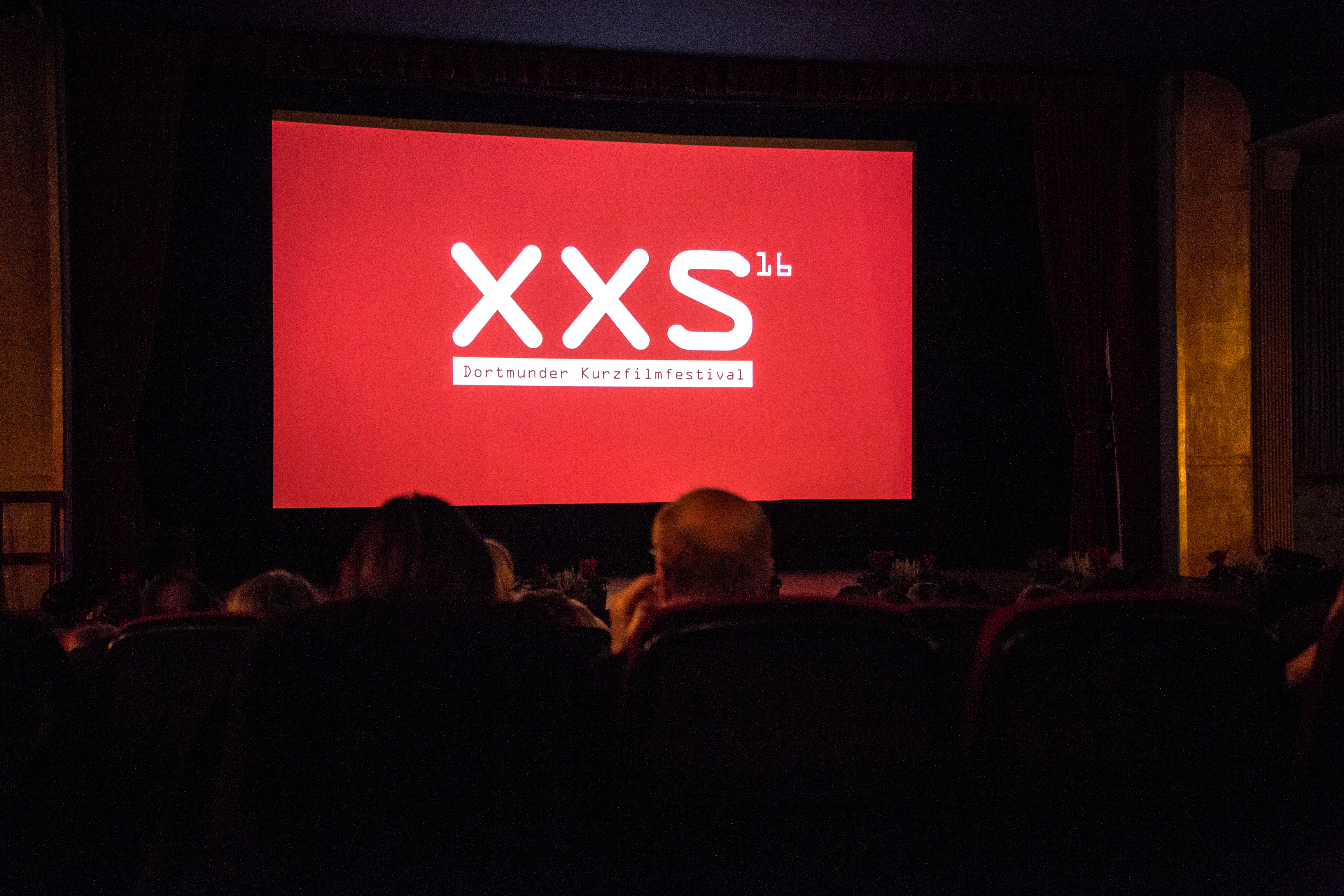 Ausgewählte Kurzfilme werden im Roxy beim Festival gezeigt.