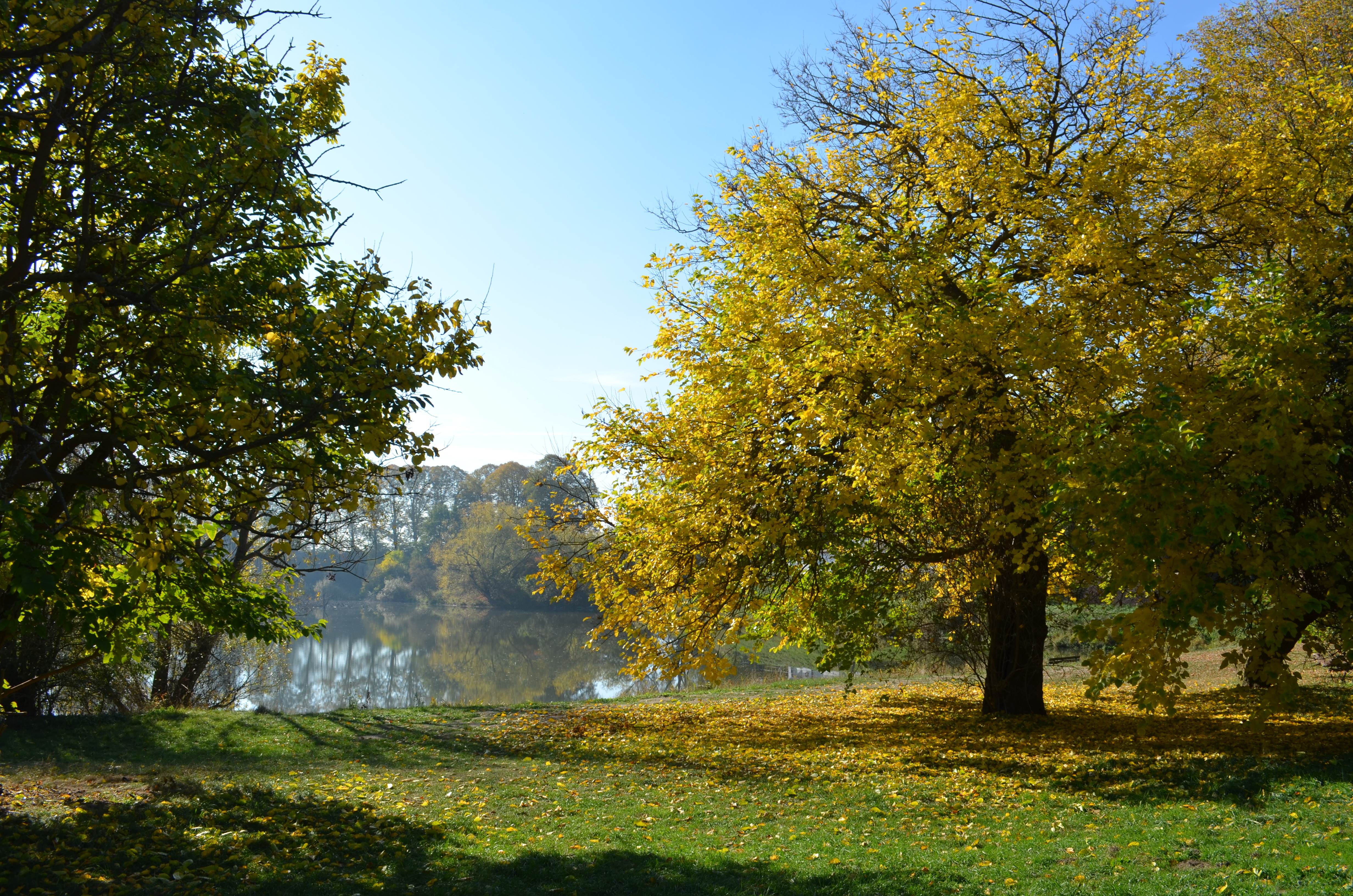 Blick ehemals Lippehafen