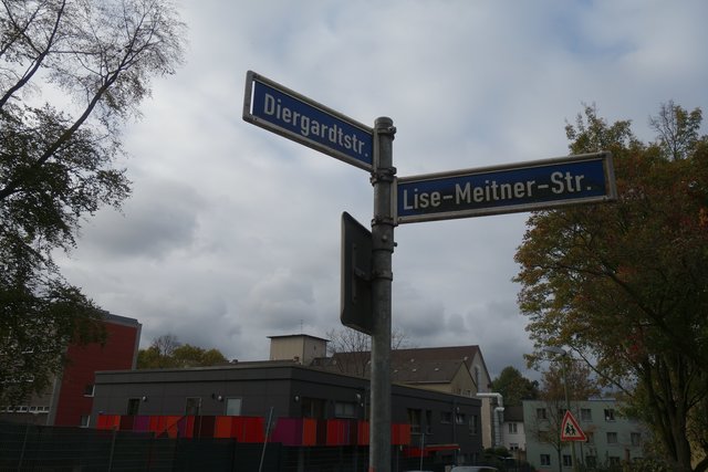 Beispiel: Baumfällungen! Hier an der Ecke wurde ein Baum vor über einem Jahr gefällt. Doch die versprochene Ersatzpflanzung - Fehlanzeige. Wie an vielen anderen Essener Baumbeeten. Foto: Schattberg