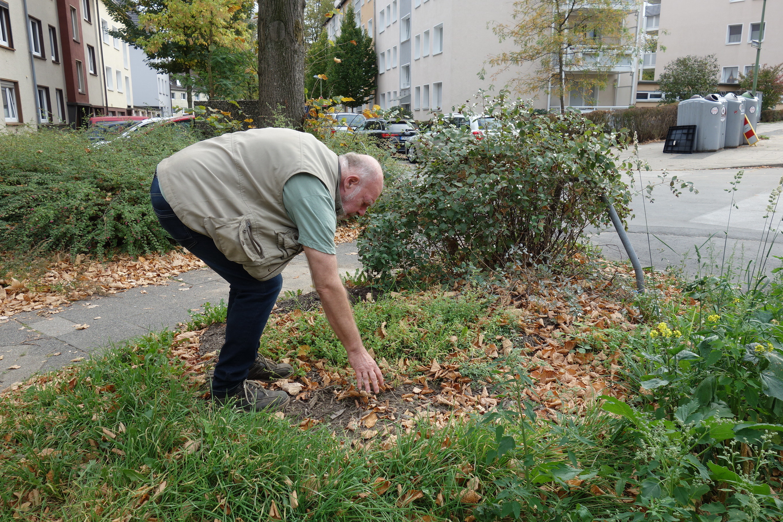 Ecke Diergardt-,/Lise-Meitner-Straße: Hier stand vor über einem Jahr ein Baum. Gefällt!" Bäume müssen nachgepflanzt werden, die ein eigenes Baumbeet haben, weiß Udo Seibert. Aber lediglich schnell wurde danach alles mit Erde bedeckt..".Foto: Schattberg