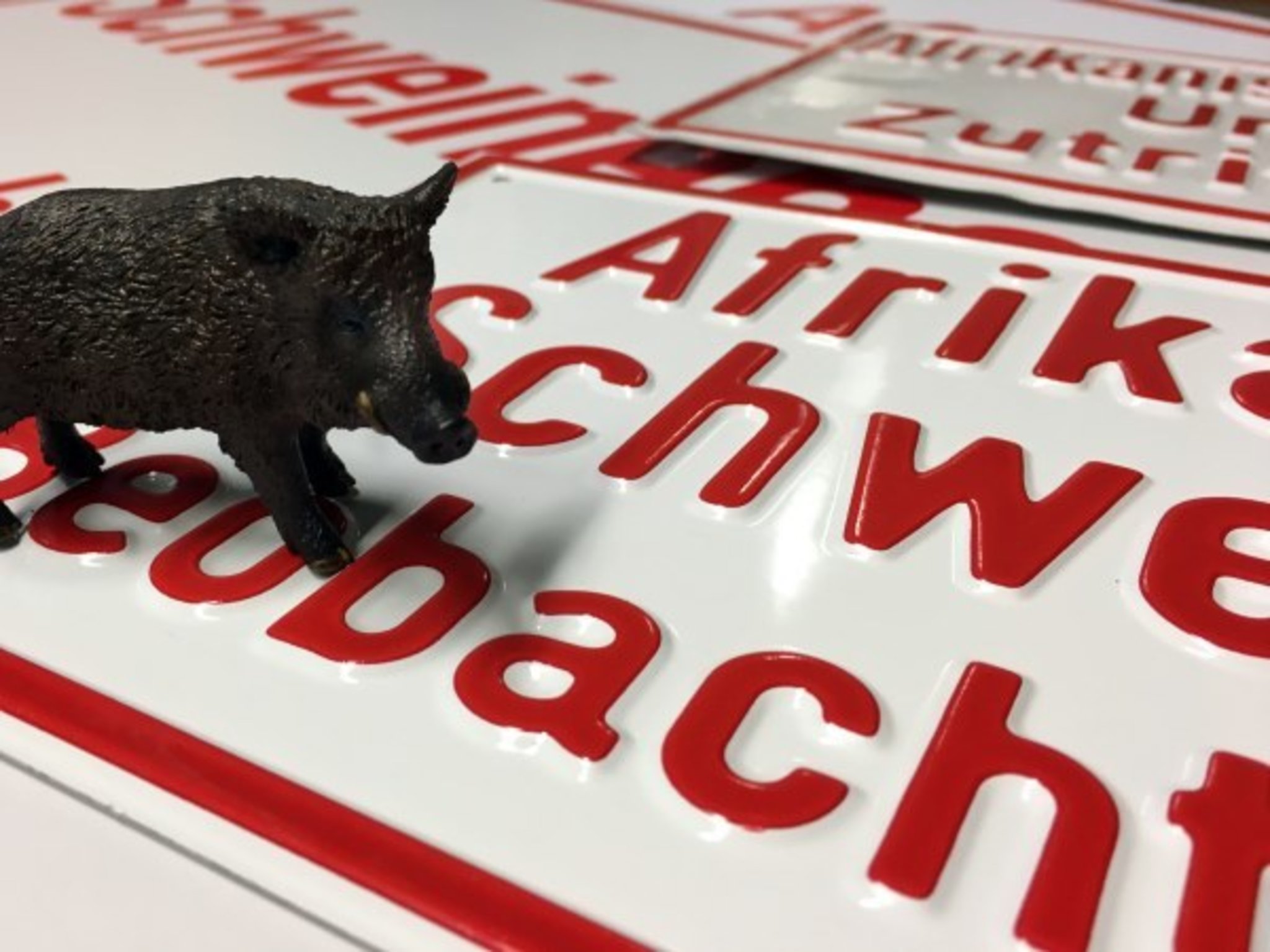 Kreis Tote Wildschweine melden Haltern Kreis Tote Wildschweine melden Haltern