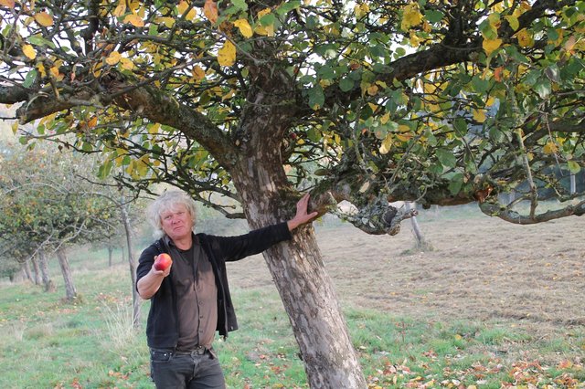 Gärtnermeister Martin Bartsch auf der Streuostwiese. Foto: LWL/Nehm