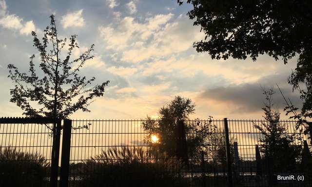 Eine schöne Stimmung!