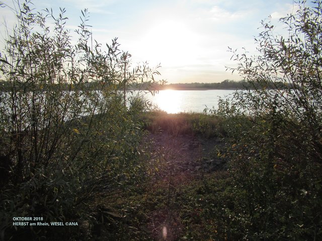 an einem frühen HERBST-Abend (Wesel)