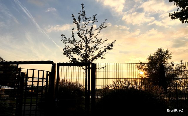 Hier kam ich nicht ans Wasser!