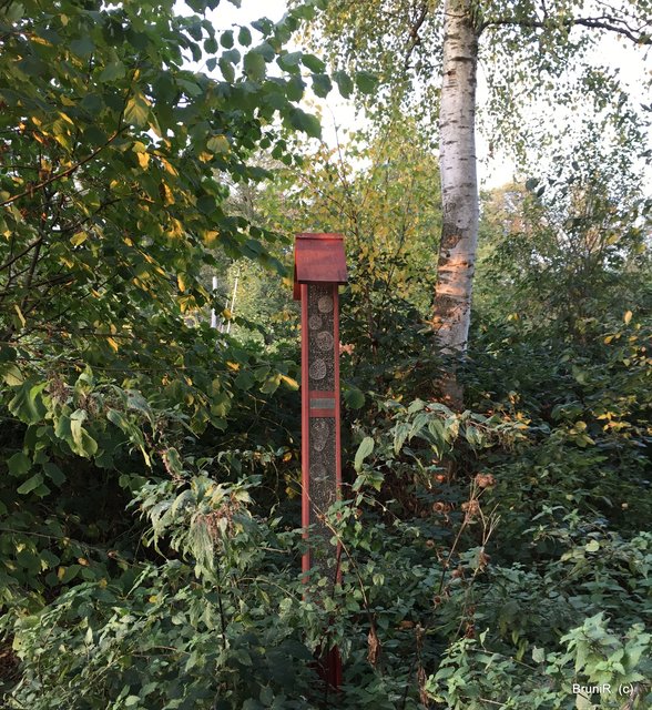 ... noch ein Insektenhotel entdeckt!