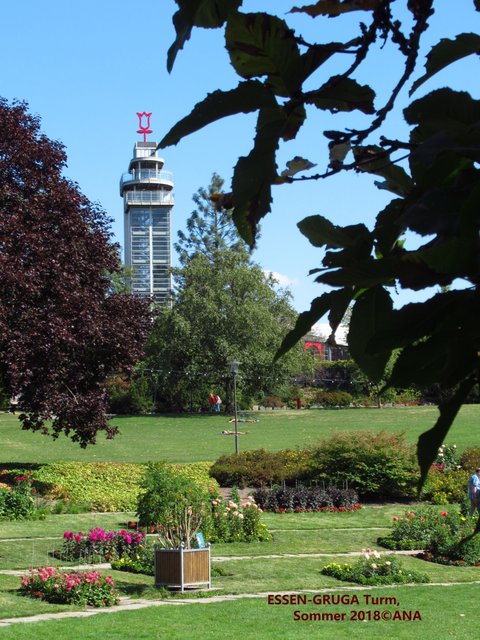 Mitten in Essen, die GRÜNE und bunte GRUGA /Gruga-Park, einfach auch ein MUSS bei einem Besuch, und immer wieder schön! Zu jeder Jahreszeit. Hier der GRUGA-Turm... Sept.2018©ANA