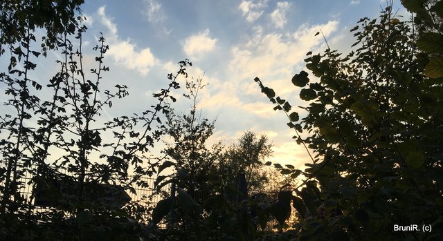 Über den Zaun kletterte ich nicht...