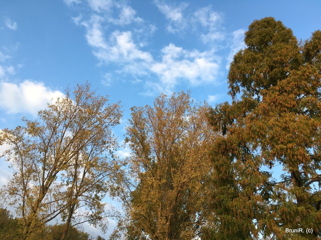 Tolles Herbstwetter!