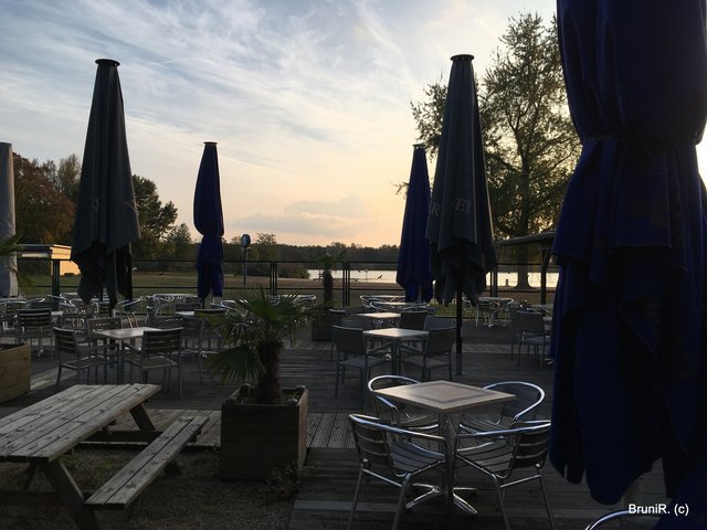 Blick durch die Gitterstäbe