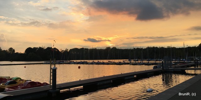 Und wer genau schaut, sieht den Schwan abtauchen... :D