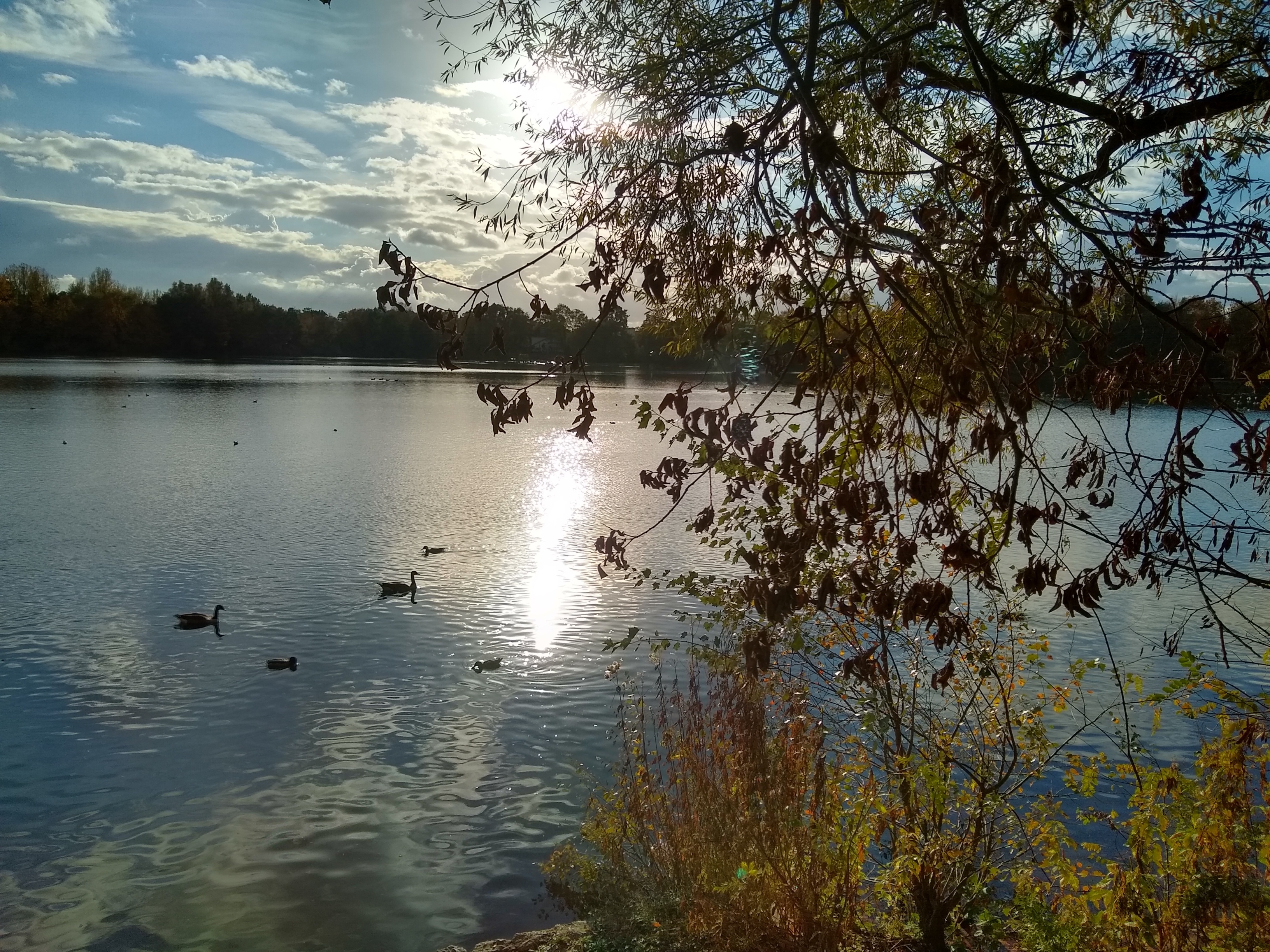 Herbstimpressionen "Blauer See" Dorsten-Holsterhausen