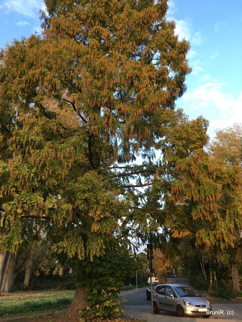 Und auf zu meinem Auto...