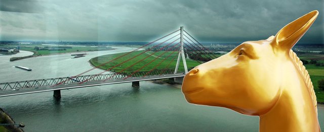 Unsere Weseler Rheinbrücke - und natürlich die zahlreichen Esel! ^^