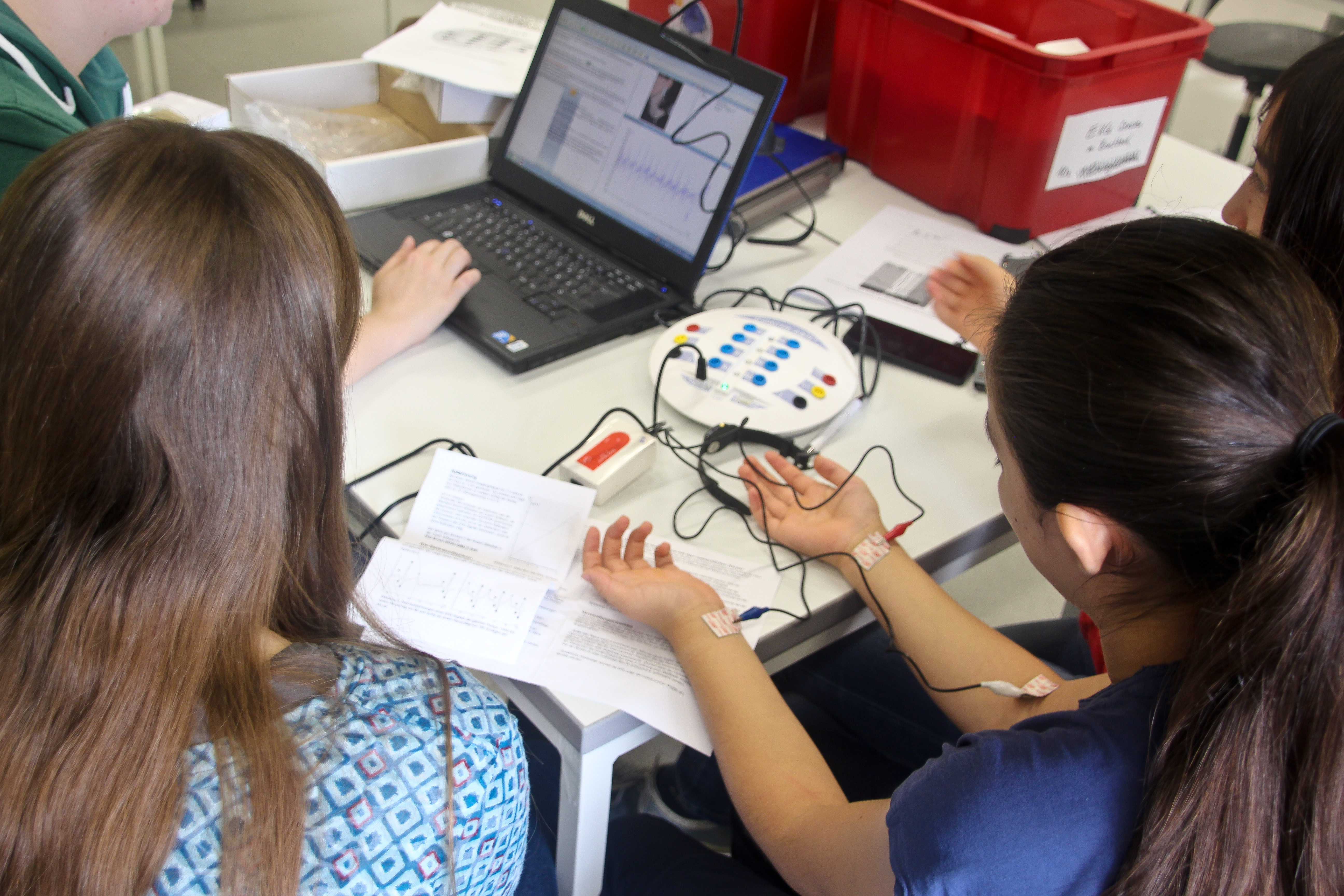Im Bereich der medizinischen Physik führten die Schülerinnen ein Elektrokardiogramm an sich durch.
Fotos (2): Laura Kämper