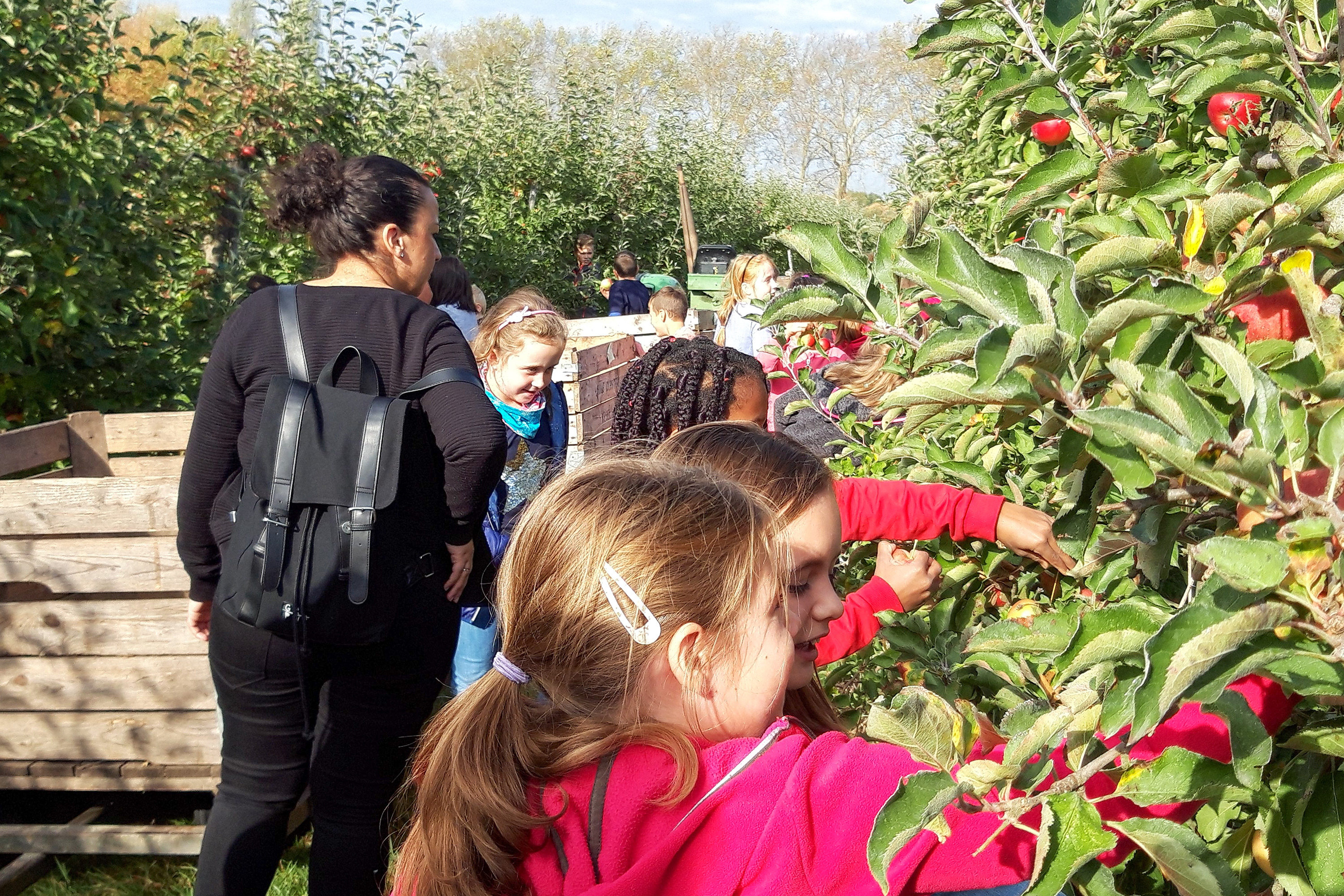 Kinder der städtischen Kitas und Grundschulen verbrachten einen Tag auf der Demeter-Obstplantage Clostermann in Wesel. Foto: privat