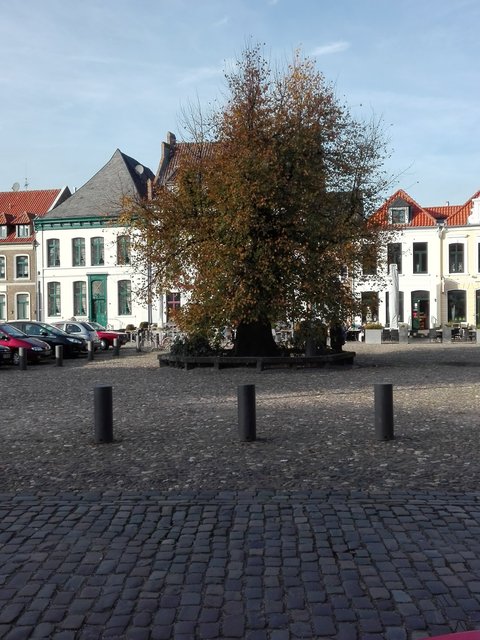 Bekanntschaften goch