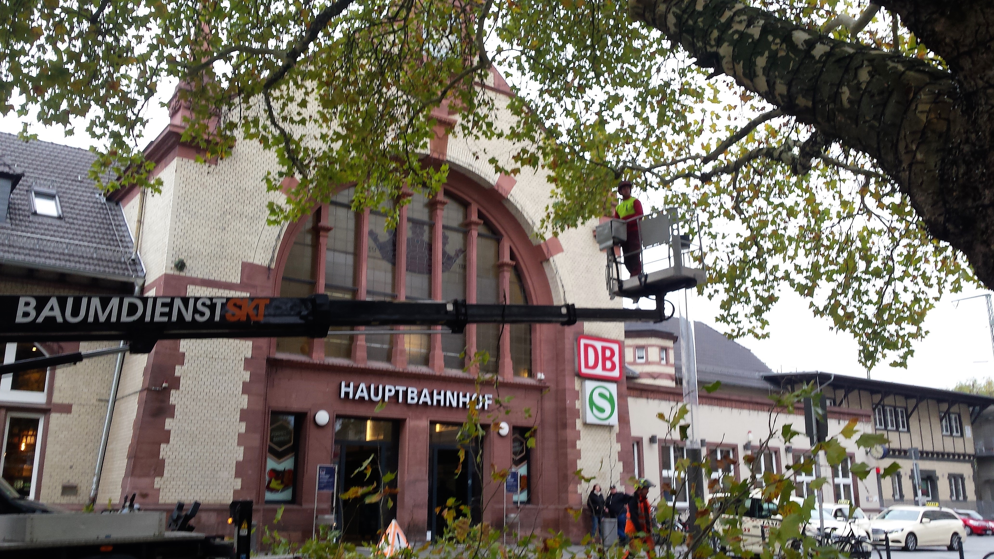 Ohne Hubwagen wäre diese Arbeit kaum zu bewältigen. Am Boden sammeln sich erste abgesägte Äste.