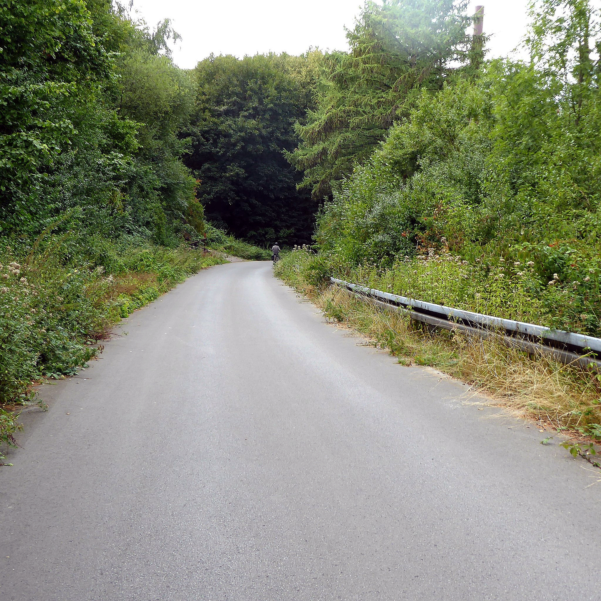 Während andernorts die Trassenführung für den "Radschnellweg Mittleres Ruhrgebiet" bereits seit längerer Zeit geklärt ist, gibt es diesbezüglich für den Bereich Gladbeck/Bottrop noch ziemlich unterschiedliche Auffassungen.