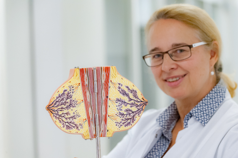 Dr. med. Dorothee Drüppel, Chefärtzin der Klinik für Frauenheilkunde und Leiterin des Brustzentrums am
St. Vincenz-Krankenhaus Datteln.