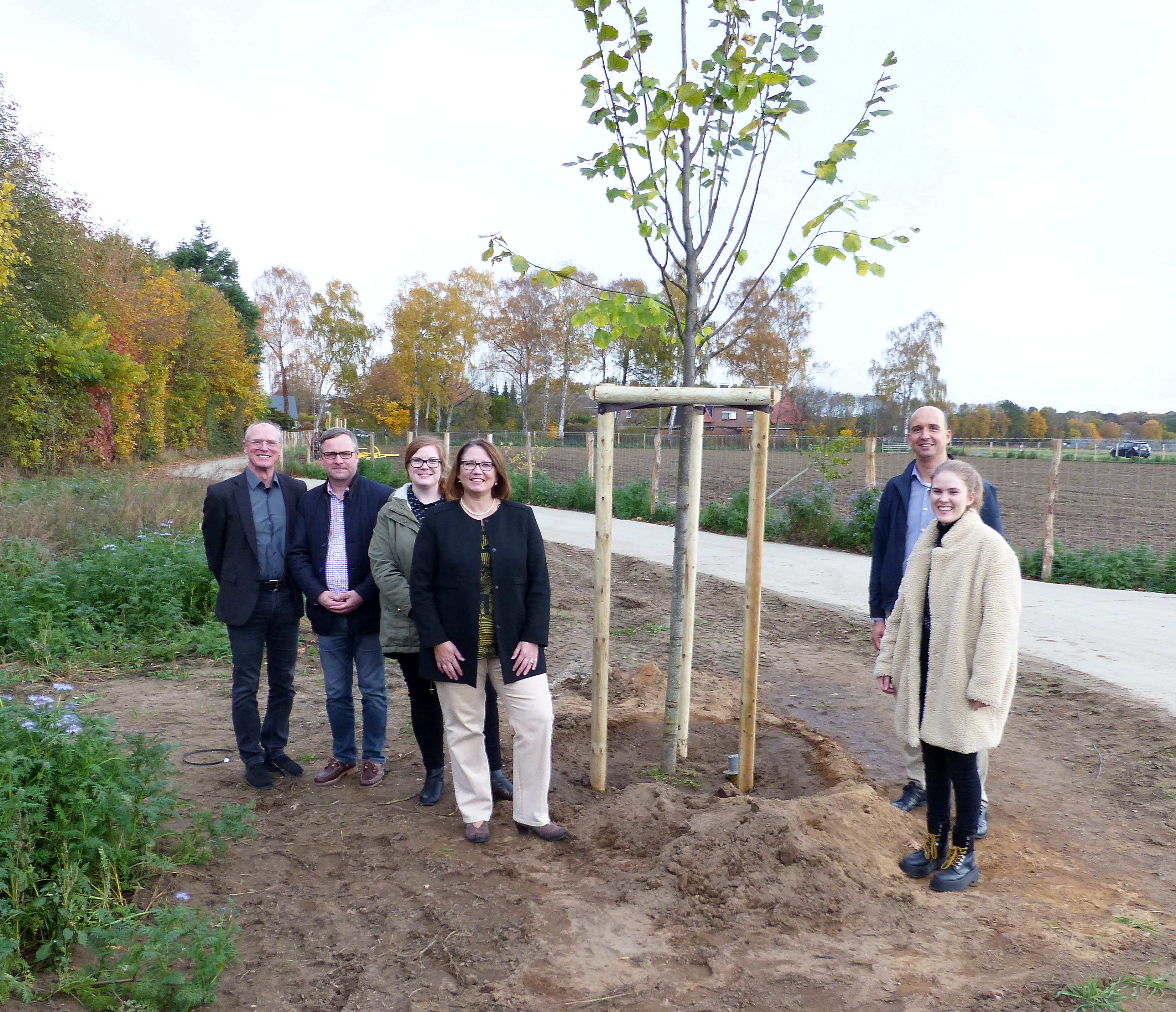 Ein Solität-Baum gehört natürlich auch dazu!