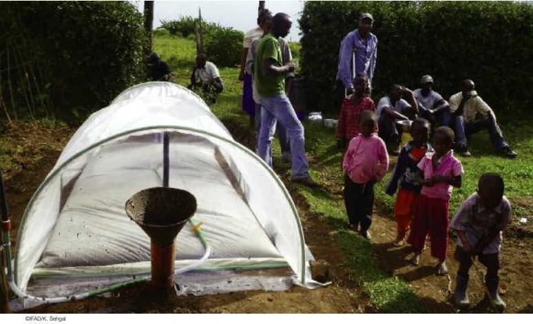 Flexi Biogas Anlage in Afrika