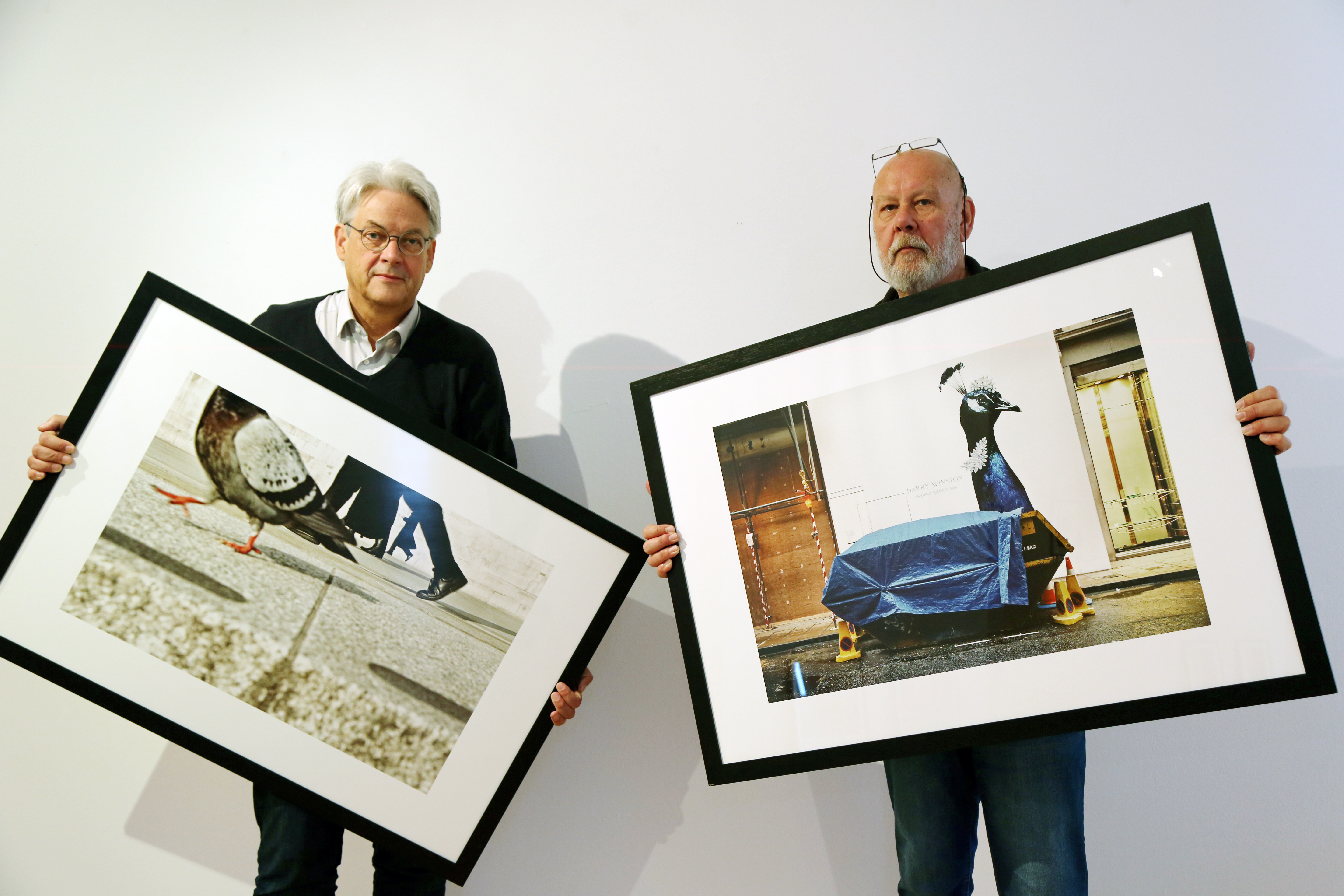 Die letzten Bilder mussten am Donnerstag noch an die Wand. Galerieleiter Rainer Danne (li.) und Mitarbeiter Günter Unnasch beim Aufhängen. Foto: Schulte