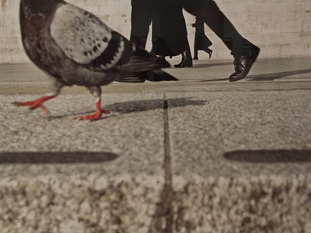 Magnum Fotograf Matt Stuart - Trafalgar Square, London, England, 2004