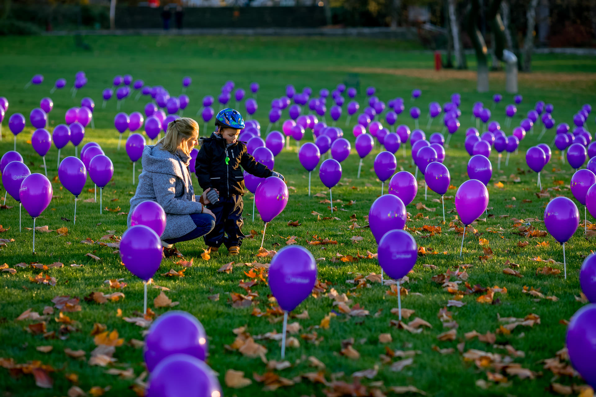 Lila Luftballons zogen auf der Kranichwiese die Blicke auf sich.