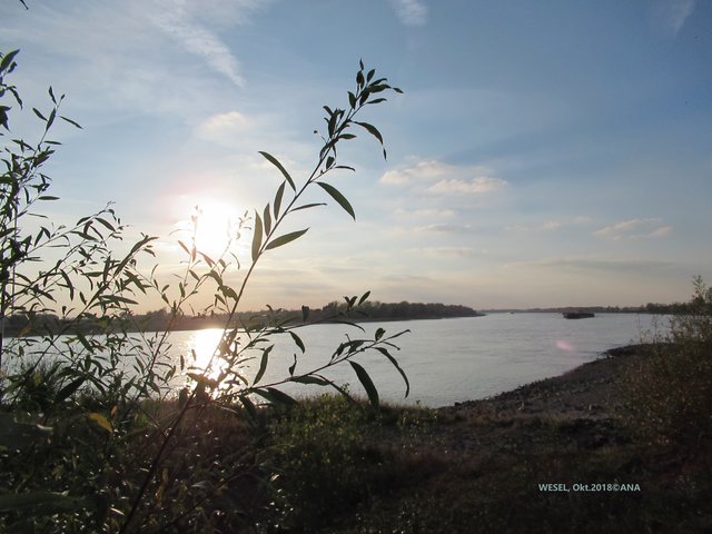 ABENDSONNE am Rhein, am Niederrhein bei Wesel