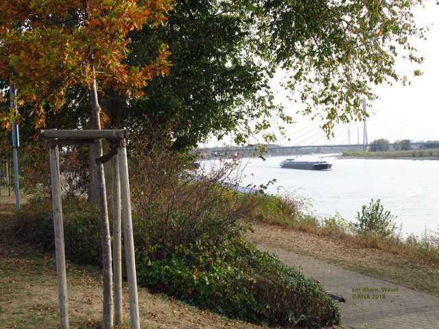 Schifffahrt auf dem Niederrhein ...