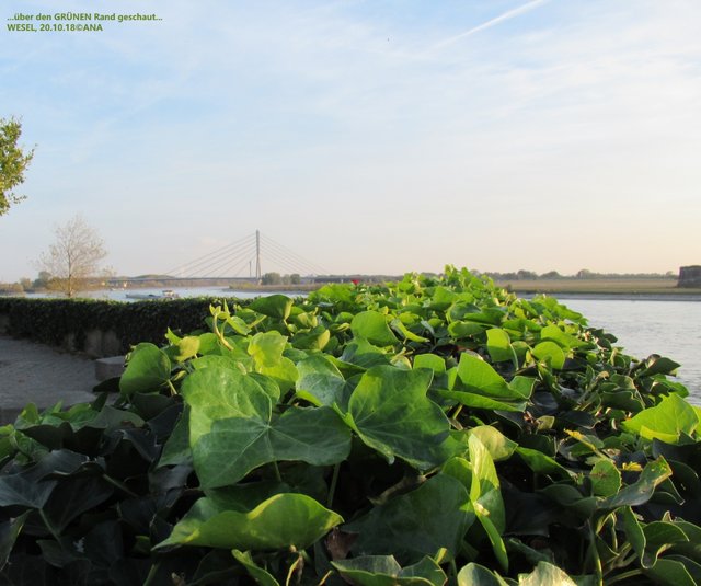 ...über den GRÜNEN RAND geschaut