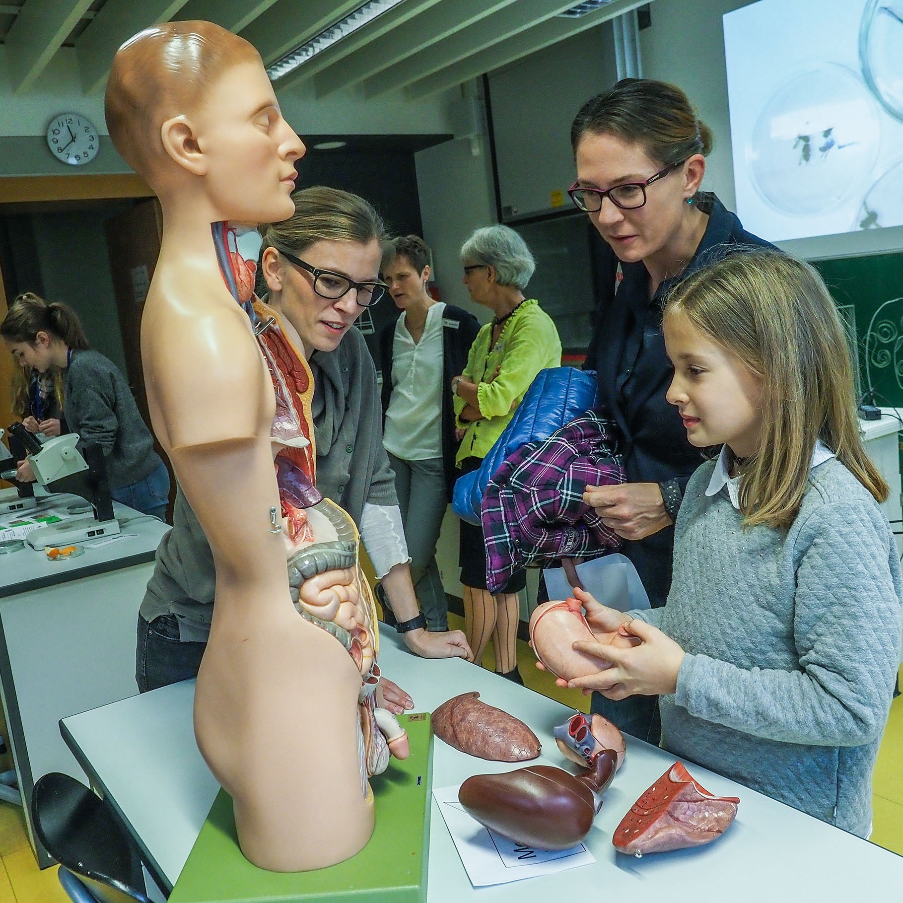 Als MINT-freundliche Schule wird großer Wert auf naturwissenschaftlichen Unterricht gelegt.
Foto: Gohl