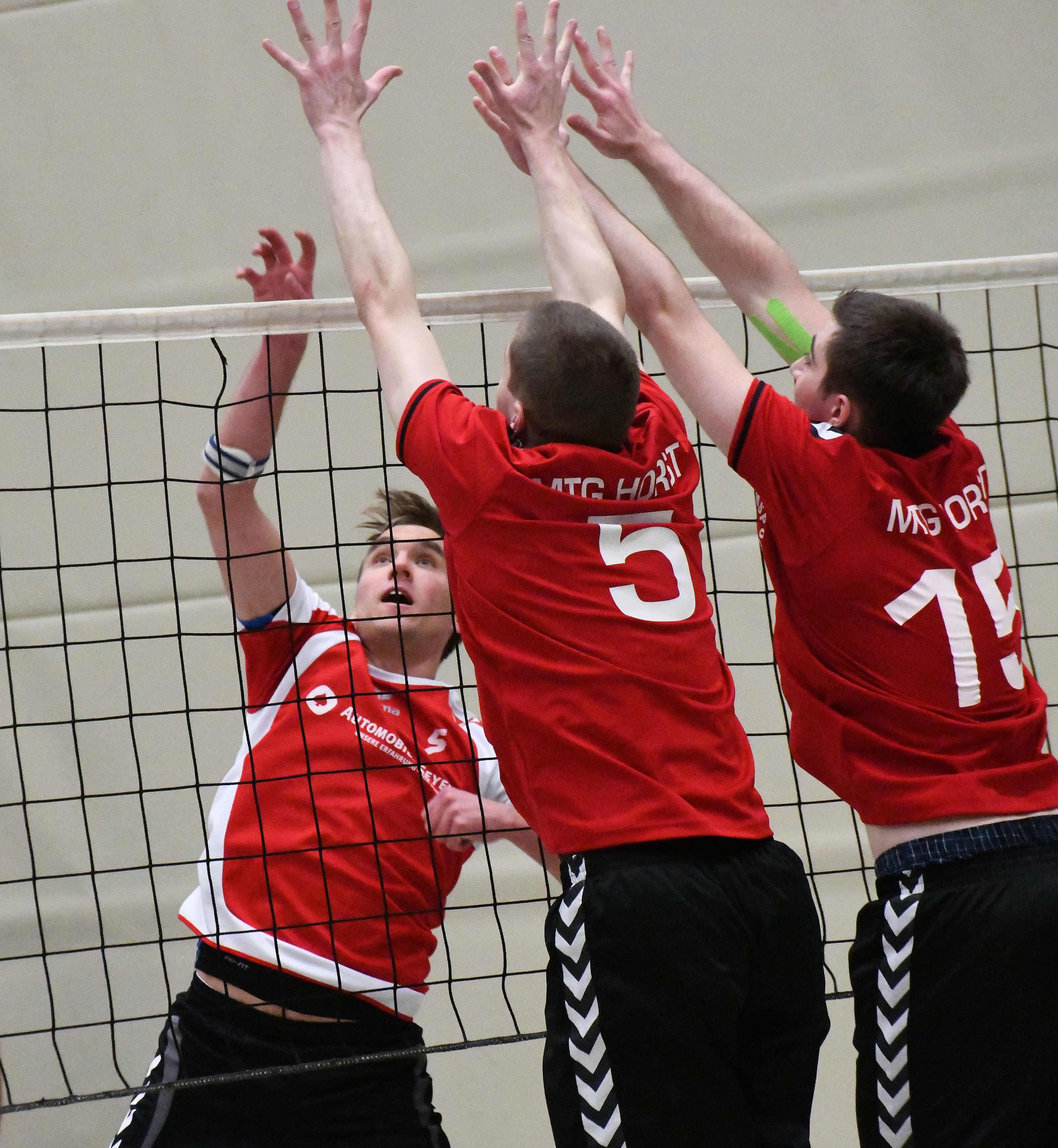 Die Werdener Volleyballer hatten mit Personalproblemen zu kämpfen.
Foto: Archiv
