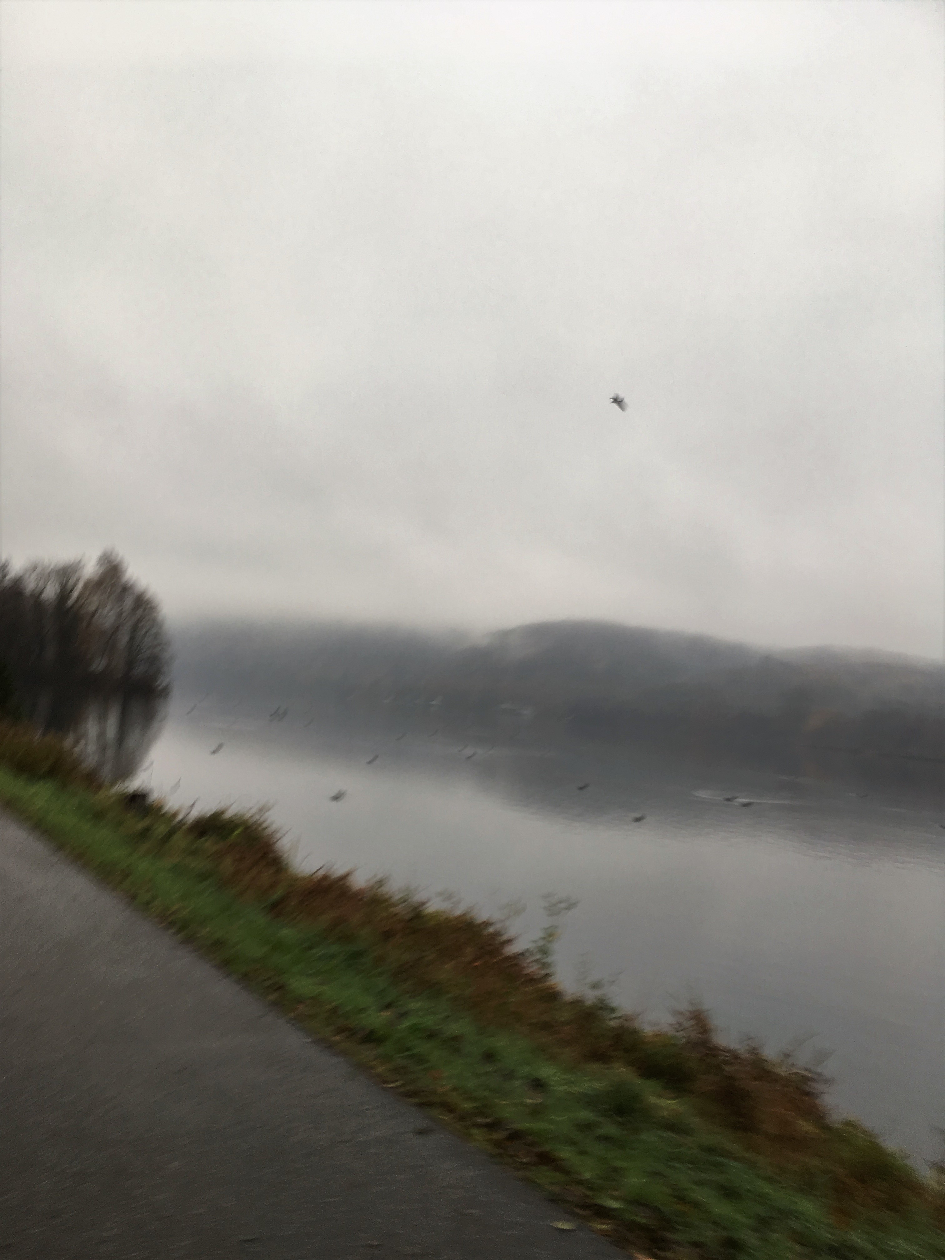 Durchwachsenes Laufwetter mit Nebel über dem Baldeneysee.