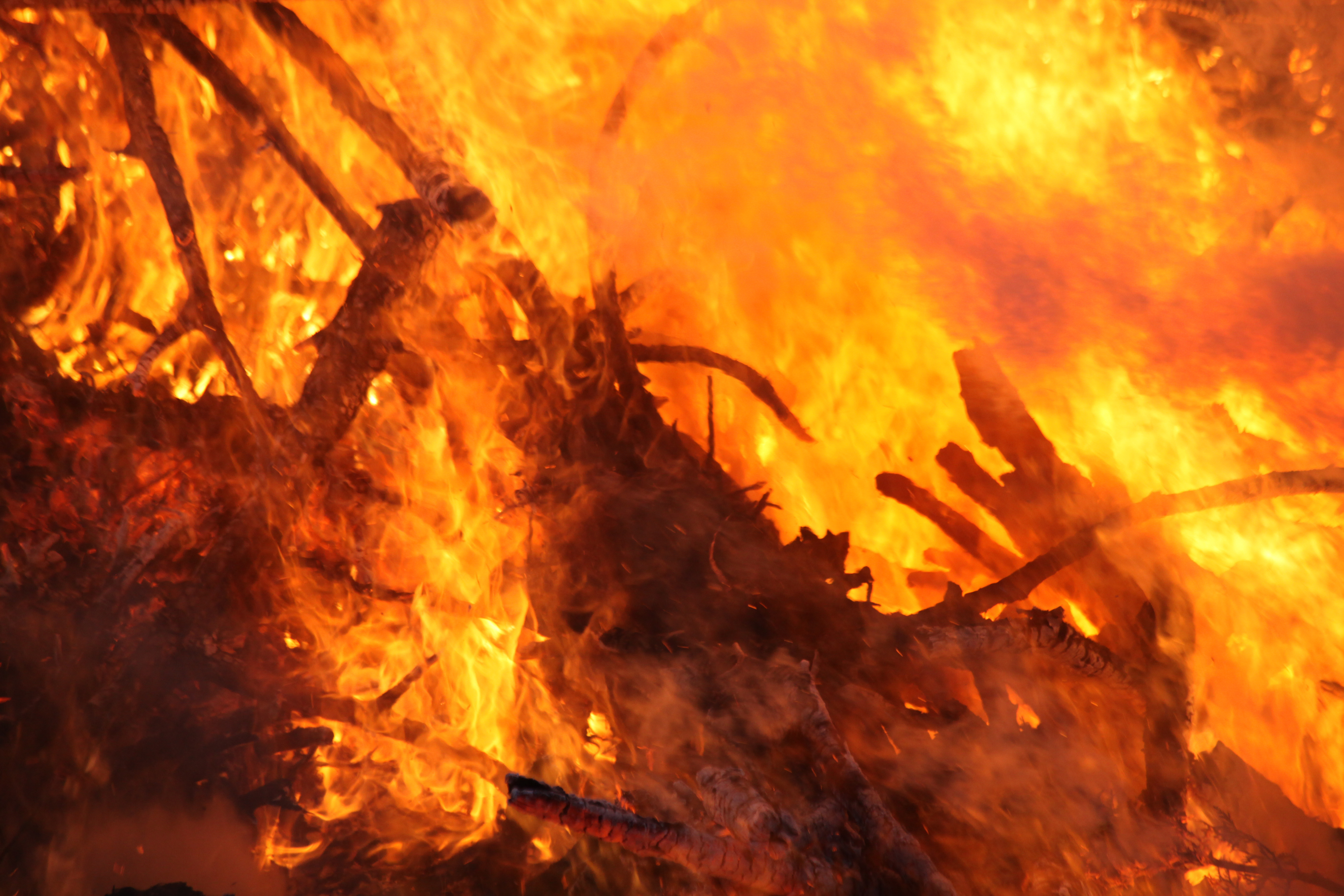 Die Feuerwehr rettete mit ihrem Einsatz zwei weitere Lauben vor den Flammen.