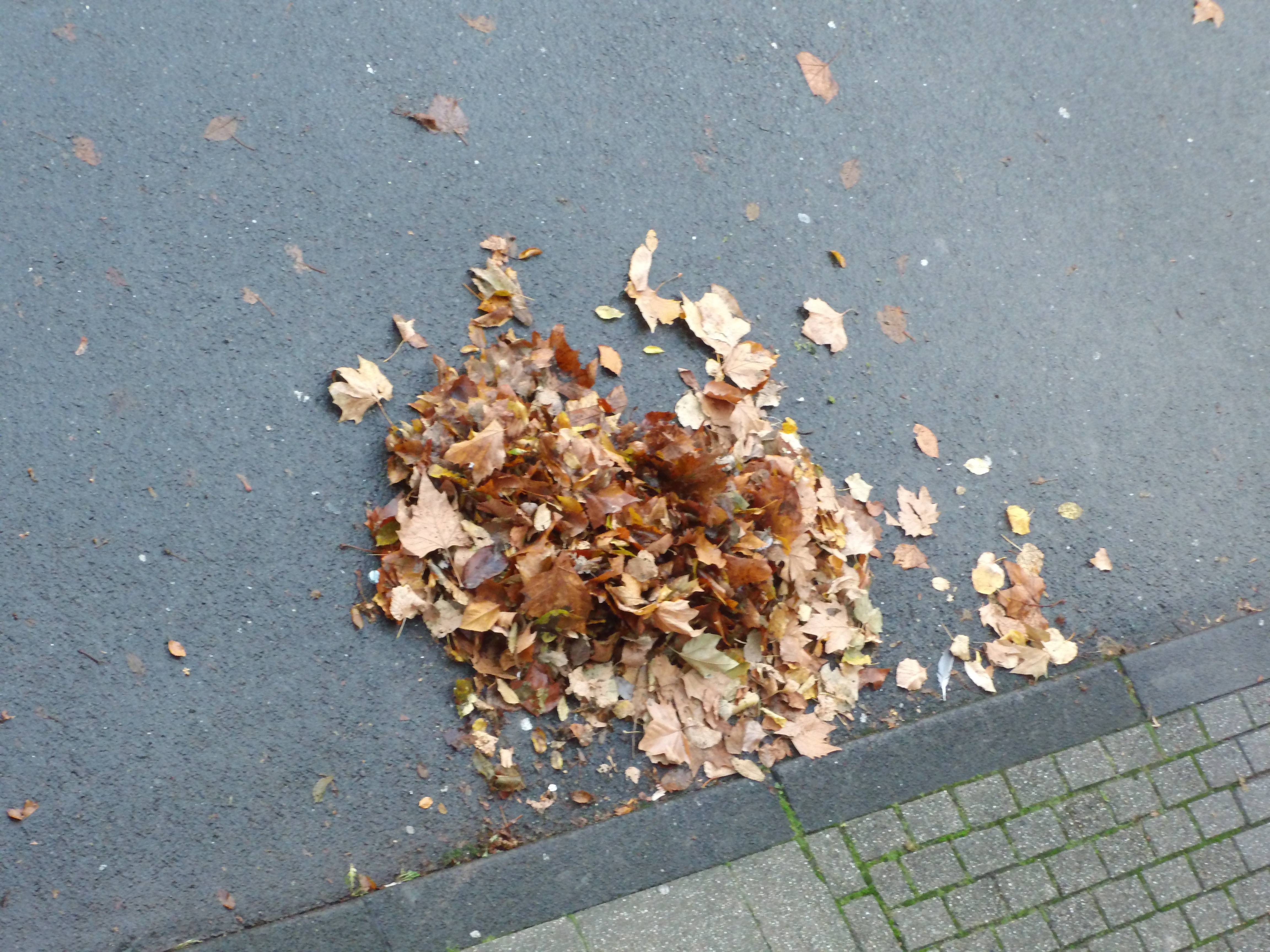 Strassenreinigung...Brauchen wir die überhaupt...