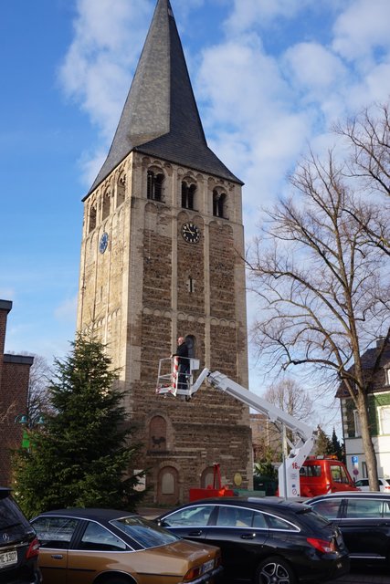 Turmfalke Volker Laser im Korb des Hubwagens auf Höhe der Baumspitze.