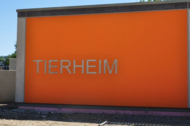 Das Tierheim Hagen, Hasselstraße 15, lädt zu ihrem Fest „Päckchen für ein armes Pfötchen“ am Samstag, 15. Dezember, von 10 bis 15 Uhr ein.