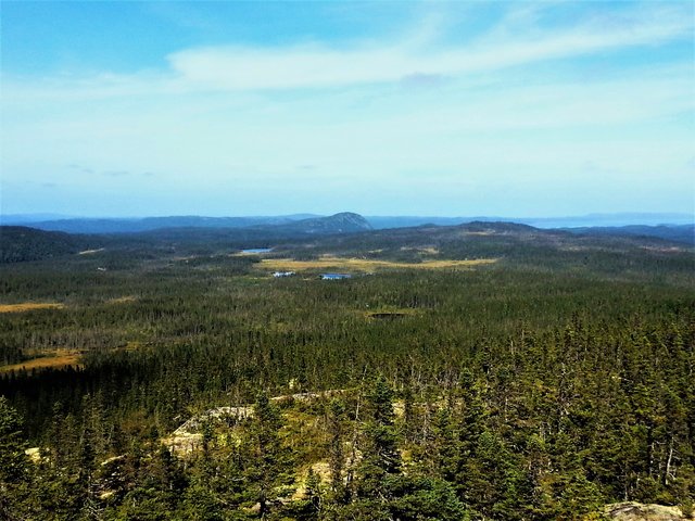 Vom Ochre Hill hat man einen atemberaubenden Panoramablick über den Terra Nova National Park. | Foto: Dr. Gerhard E. Sollbach
