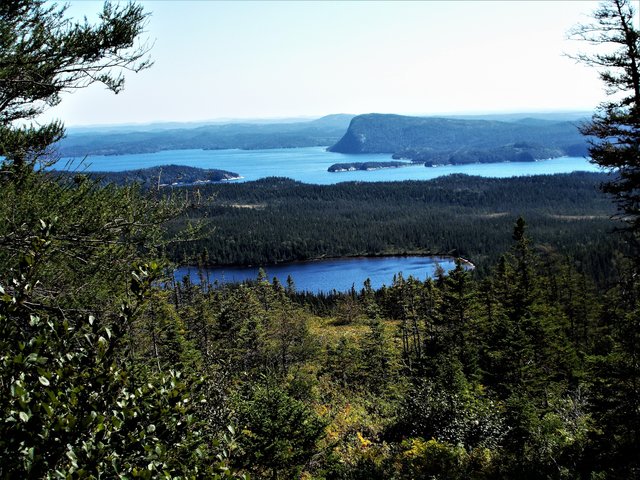Aussicht vom Blue Hill im Terra Nova National Park. | Foto: Dr. Gerhard E. Sollbach