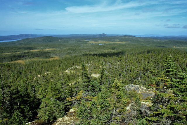 An schönen Tagen geht der Panoramablick vom Ochre Hill im Terra Nova National Park bis zur Küste. | Foto: Dr. Gerhard E. Sollbach