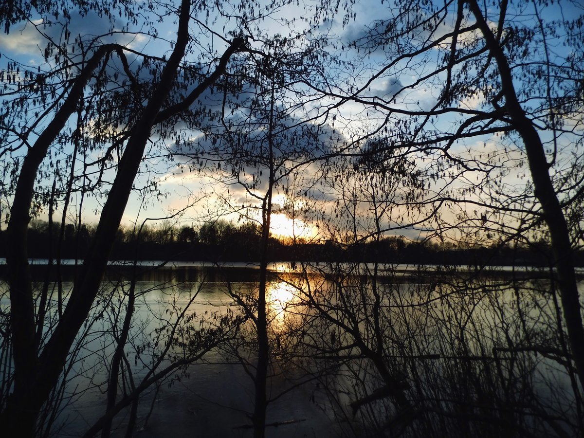 Manchmal ist weniger mehr: Die eindrucksvollen Silhouetten der Bäume im Kontrast mit der rot scheinenden Sonne und ihrer Reflektion im See.