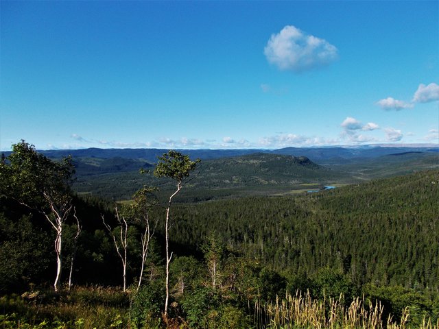 Die Long Range Mountains im Gros Morne National Park haben im Laufe der Jahrtausende Gletscher und Erosion geformt. | Foto: Dr. Gerhard E. Sollbach