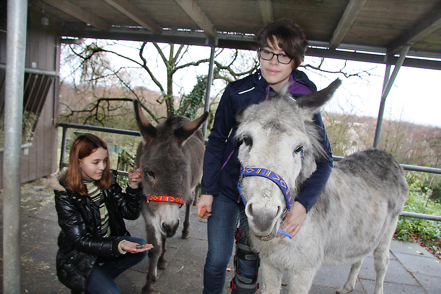 Esel Balou (rechts) mit Frederike und Eseldame Elfie mit Angelina (links). Es gibt immer helfende Hände im Refugium.