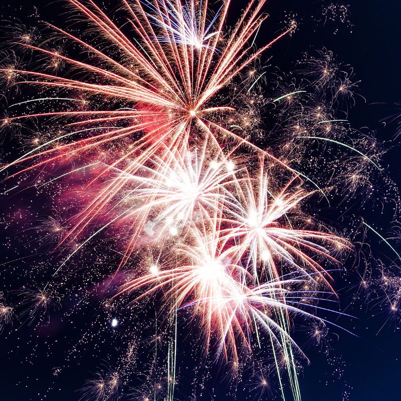 Schön bunt, aber zu laut für viele Haustiere: Die Silvesternacht bedeutet für viele Tiere in Deutschland Stress.
